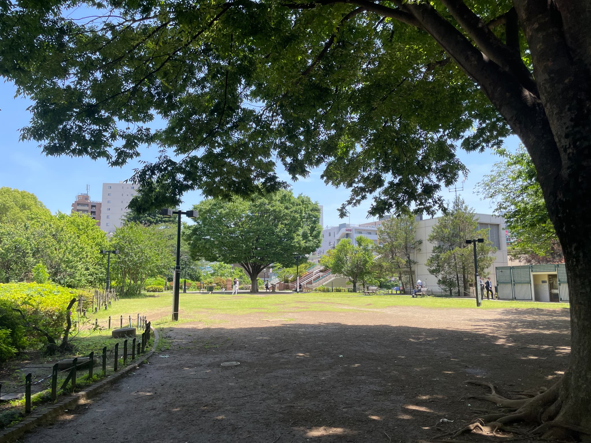 練馬つつじ公園